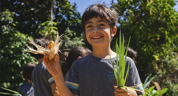 Ensino Fundamental - Anos Iniciais