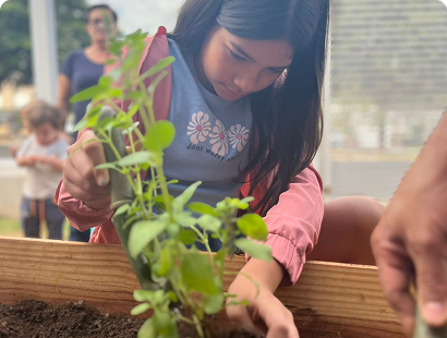 Ensino Fundamental II - Integração entre áreas e autonomia intelectual